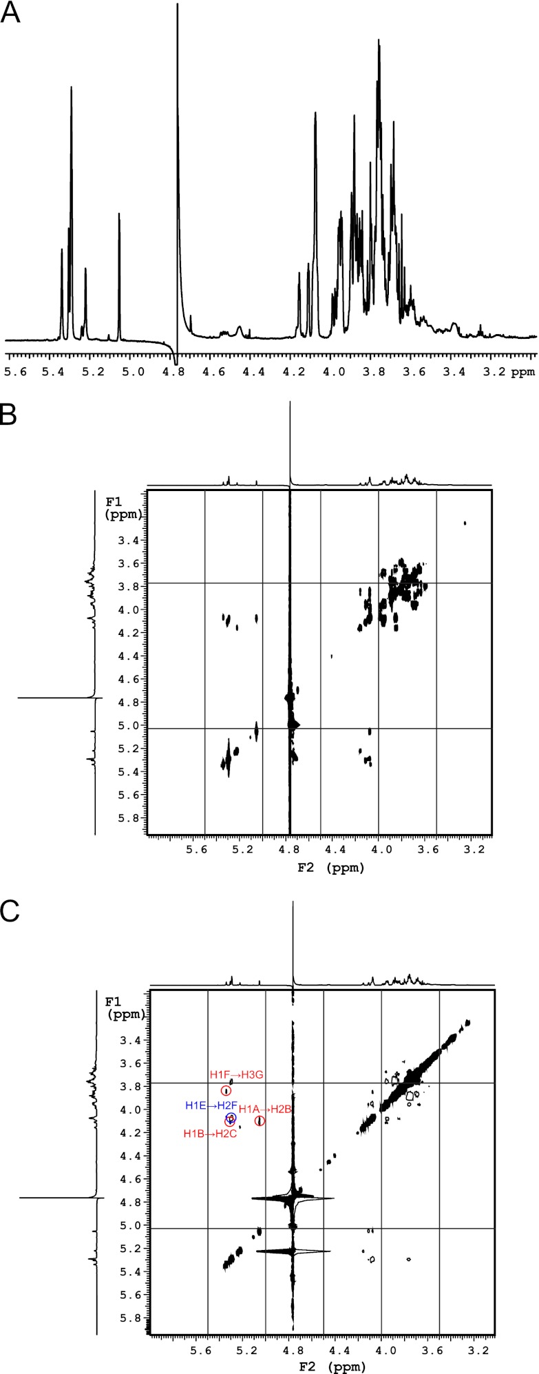 FIGURE 11.