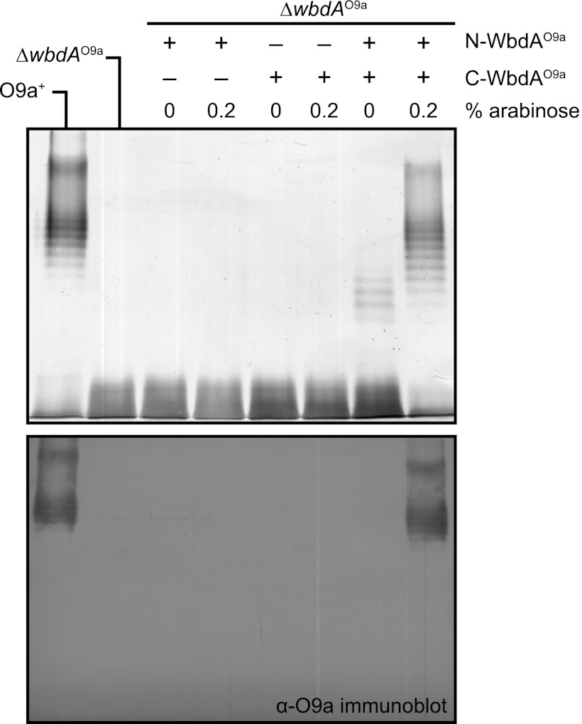 FIGURE 5.