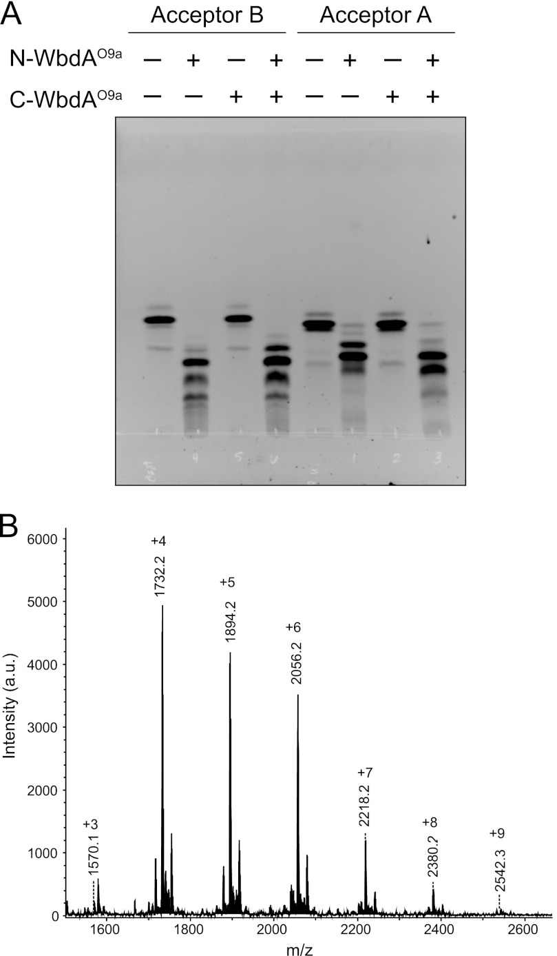 FIGURE 10.