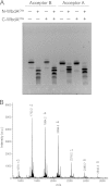FIGURE 10.