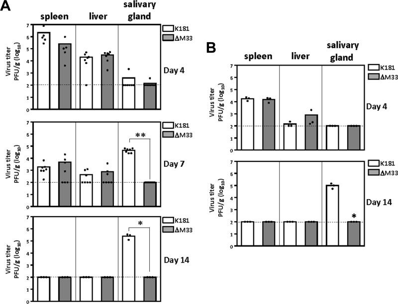 FIG 1