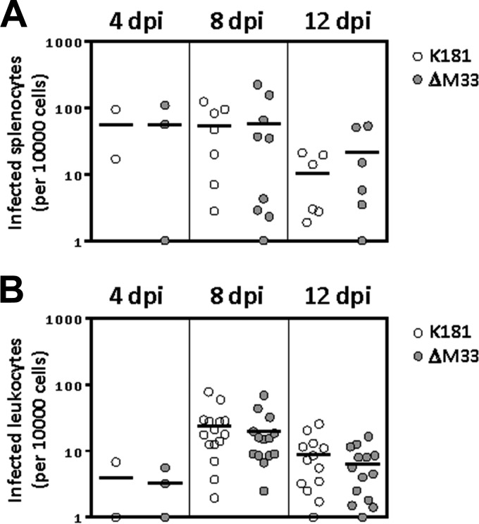 FIG 3