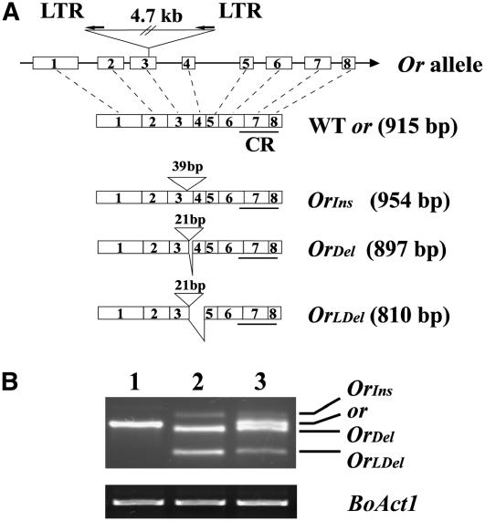 Figure 3.