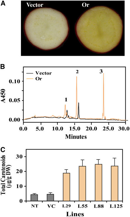 Figure 11.