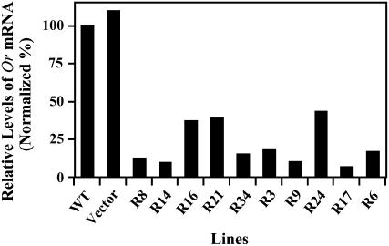 Figure 5.