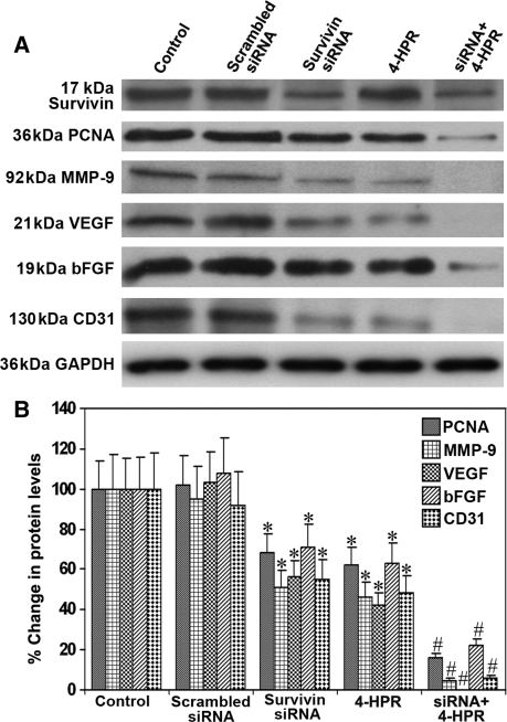 Fig. 8.