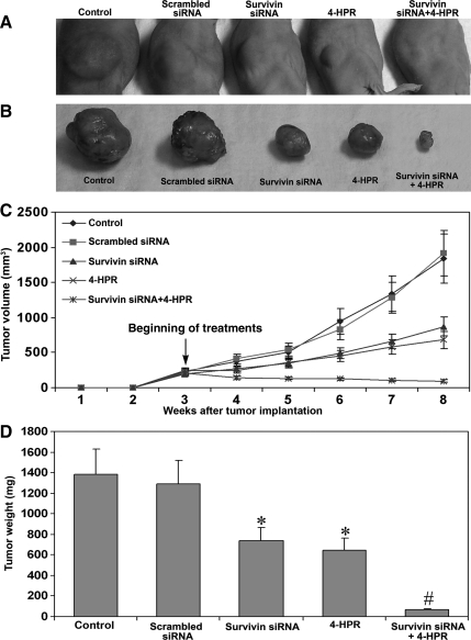 Fig. 7.