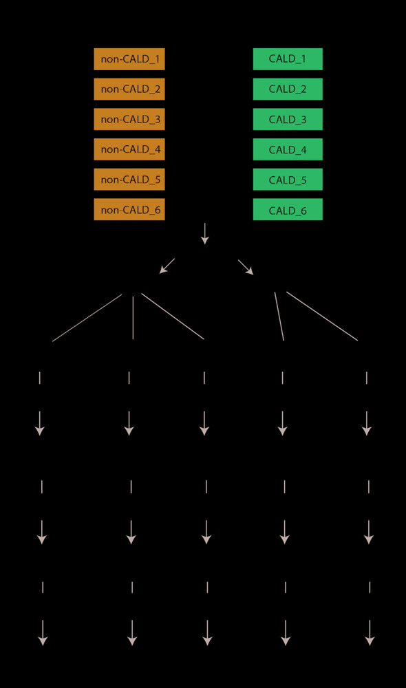 FIGURE 1