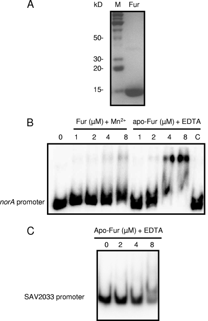 Fig 5