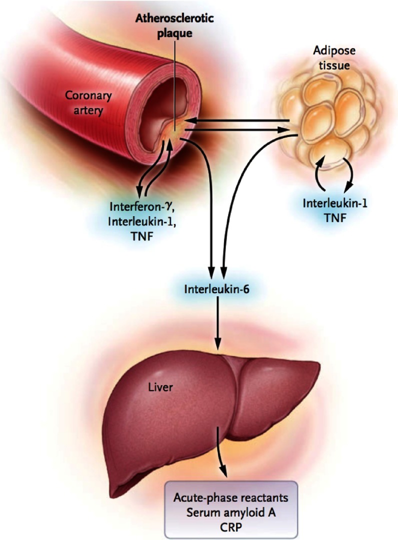 Figure 1.