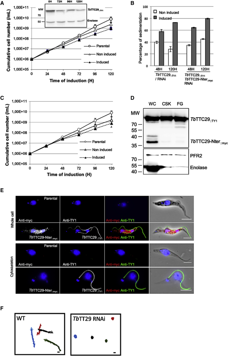 Figure 6