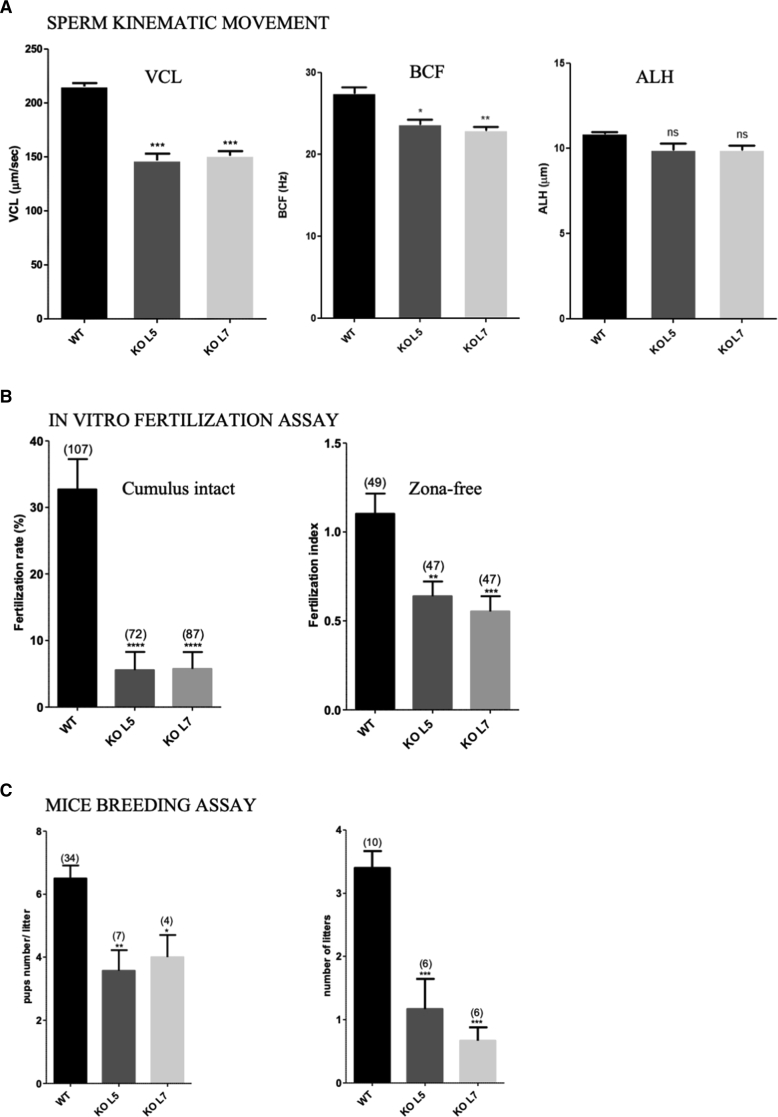 Figure 4