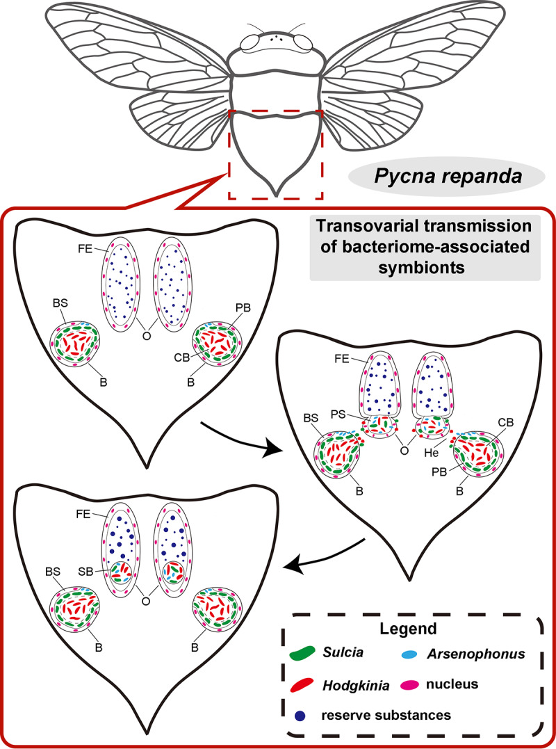 FIG 5