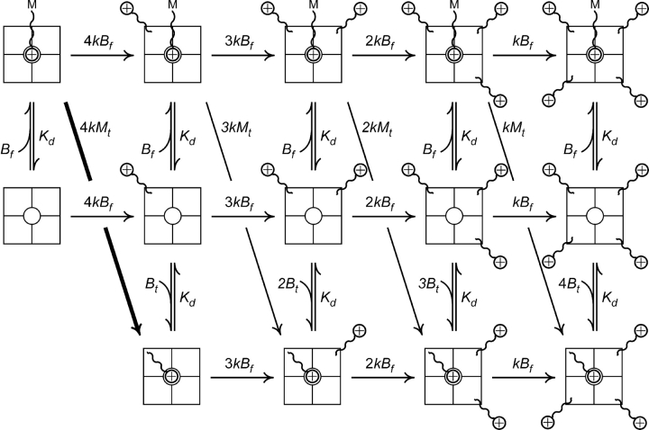 SCHEME I.