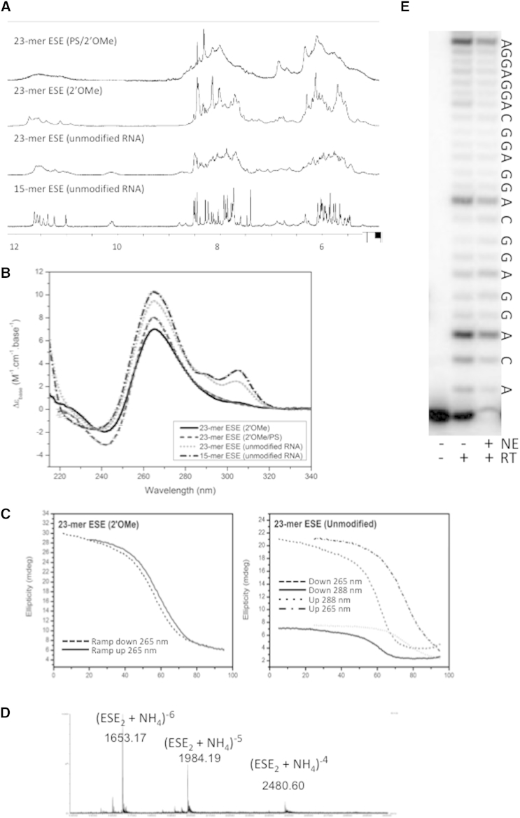 Figure 5