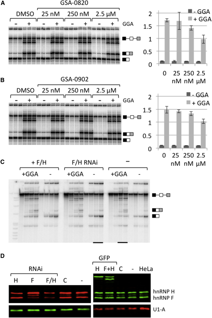 Figure 6