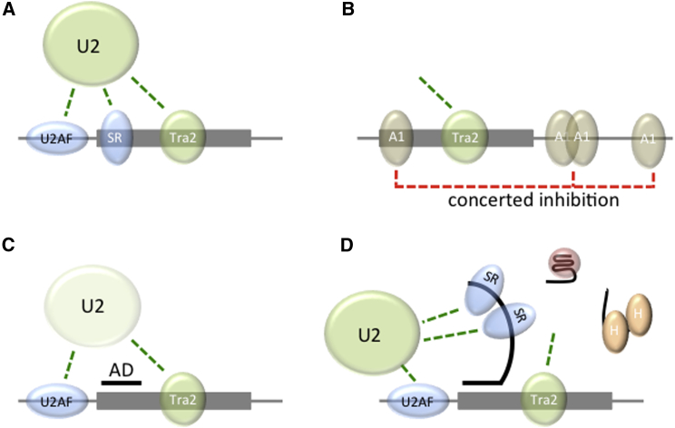 Figure 7