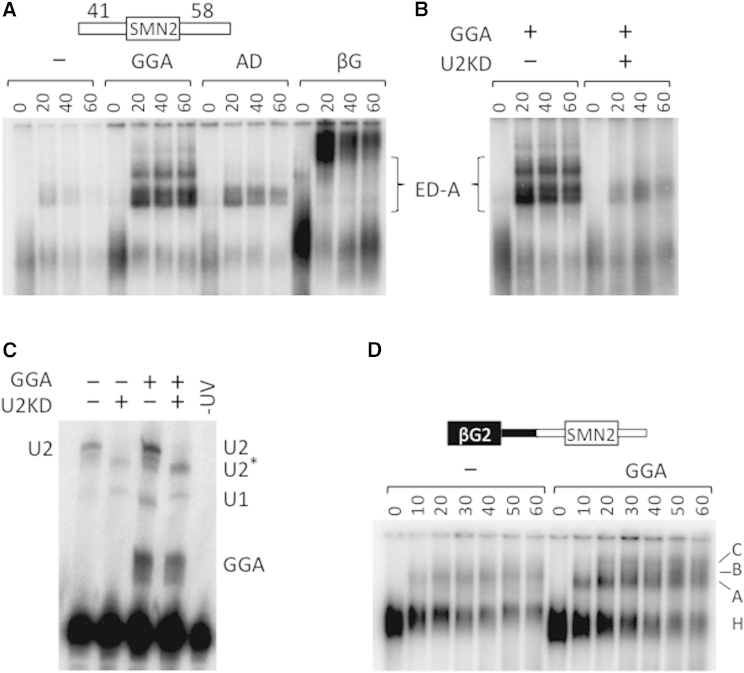 Figure 3