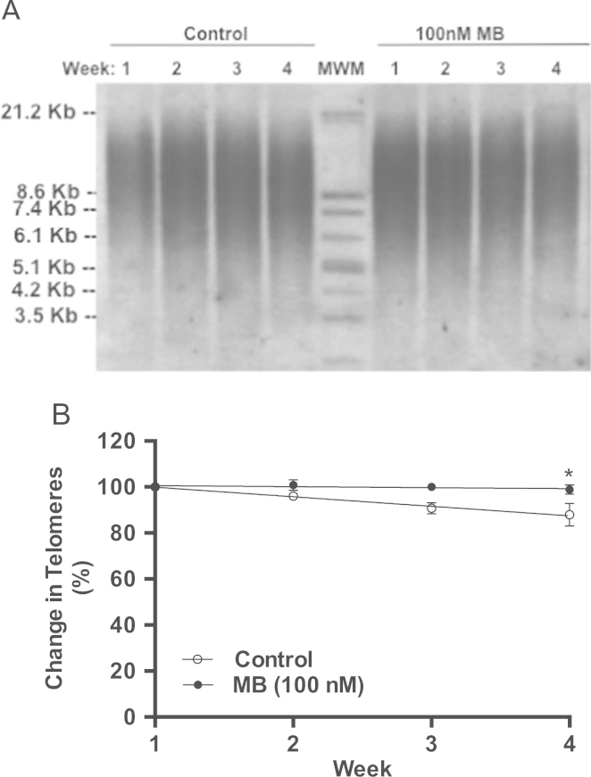 Fig. 8