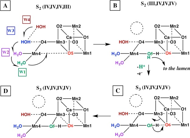 Scheme 1