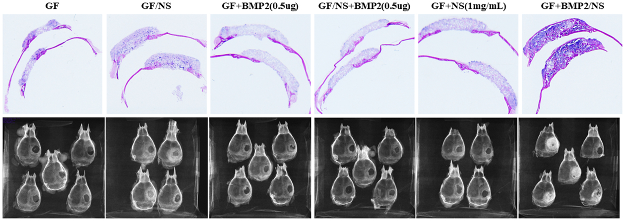 Fig.6.