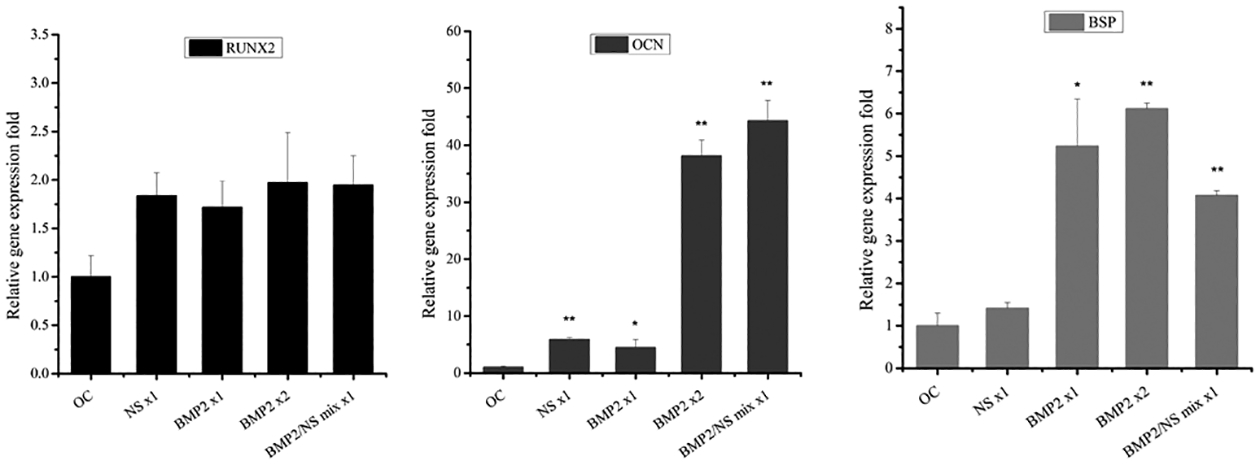 Fig.3