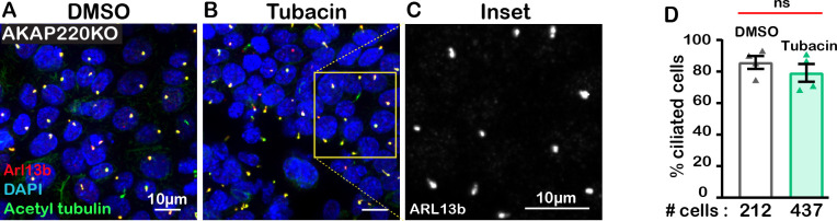 Figure 3—figure supplement 4.