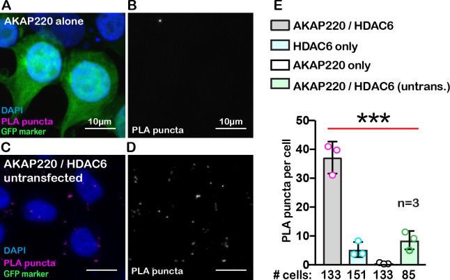 Figure 2—figure supplement 2.