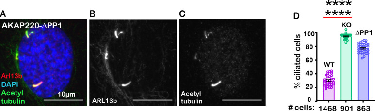 Figure 3—figure supplement 3.