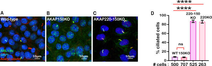 Figure 1—figure supplement 2.