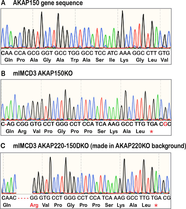 Figure 1—figure supplement 3.