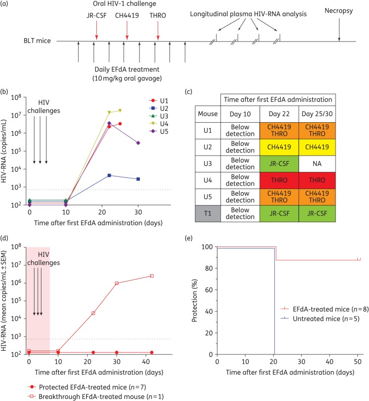 Figure 3.