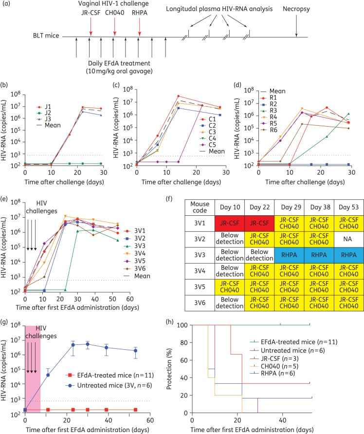 Figure 2.