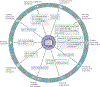 Figure 2 |