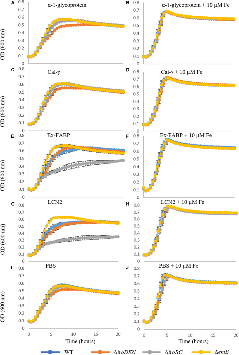 FIGURE 4