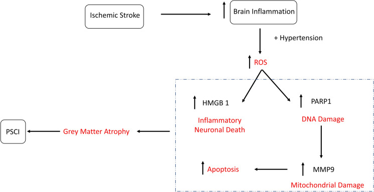 Figure 7