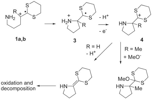 Scheme 3