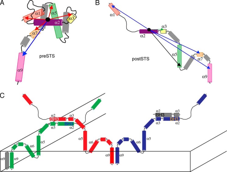 FIGURE 7.