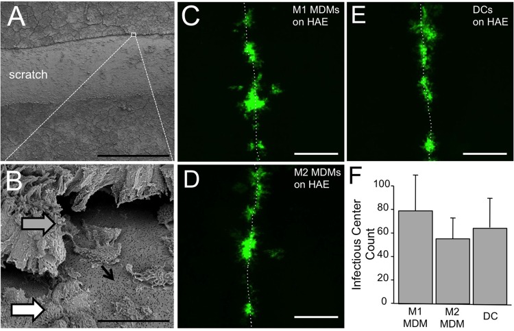 FIG 4