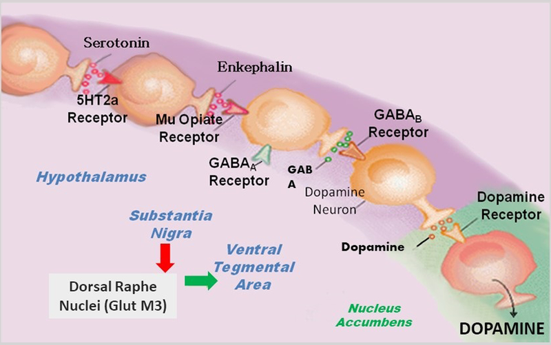 Figure 1: