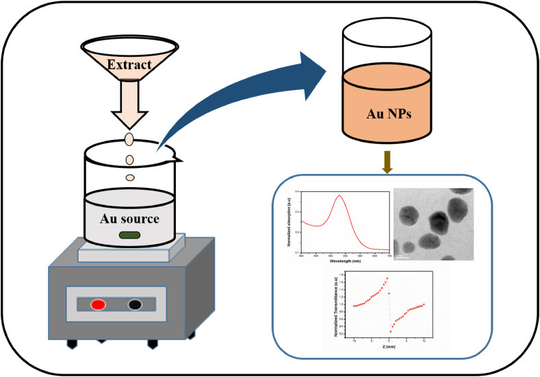 Figure 1