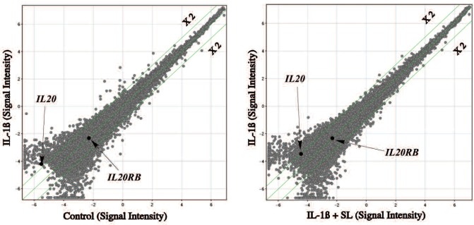 Fig. 1: