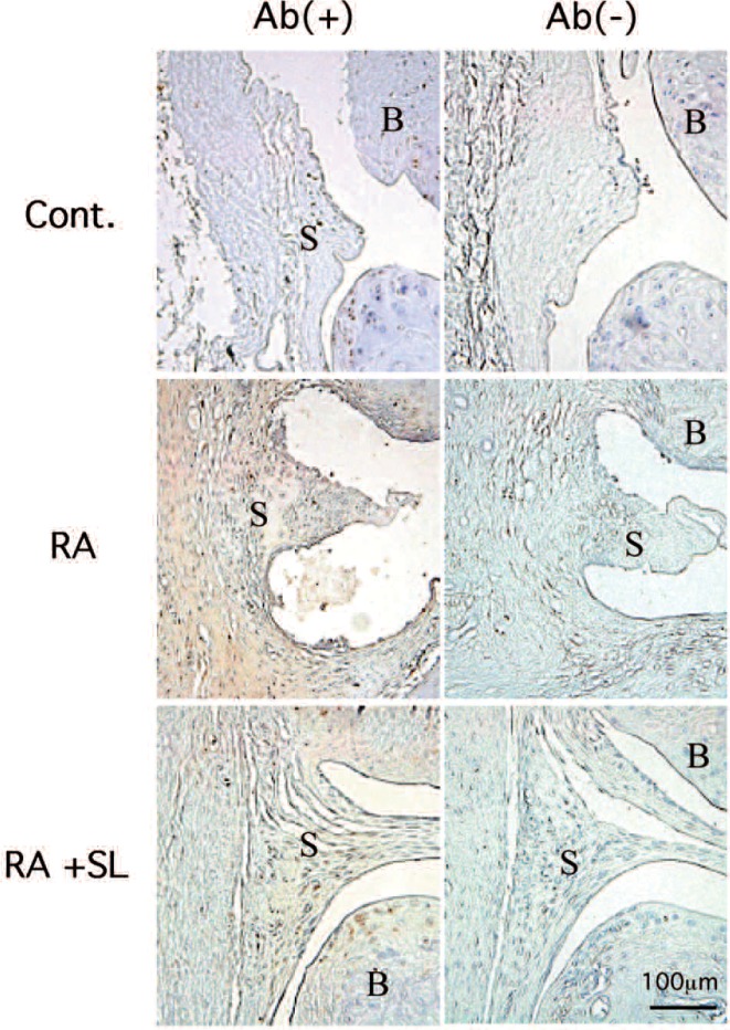 Fig. 2: