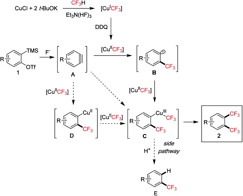 Scheme 6