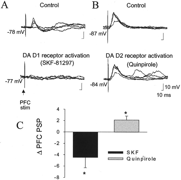 Fig. 11.