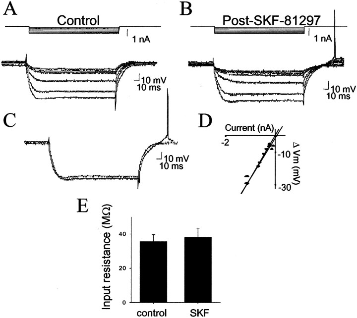 Fig. 9.