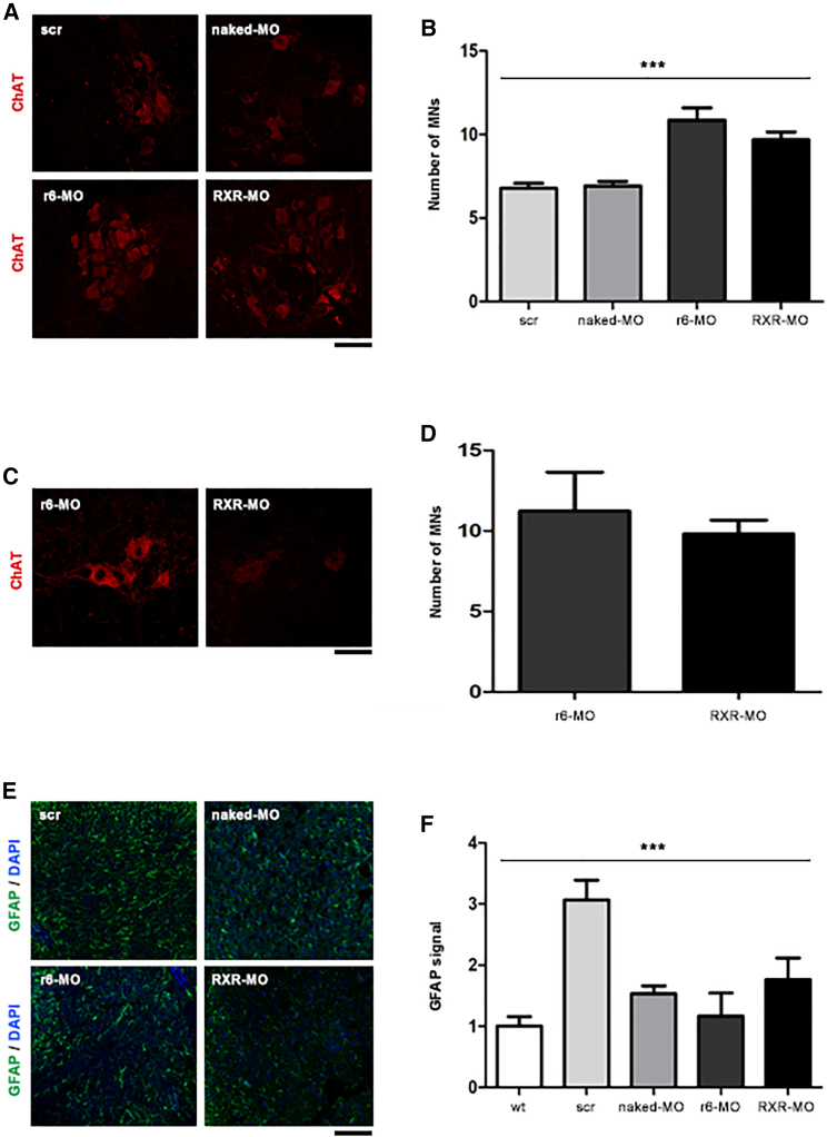 Figure 4