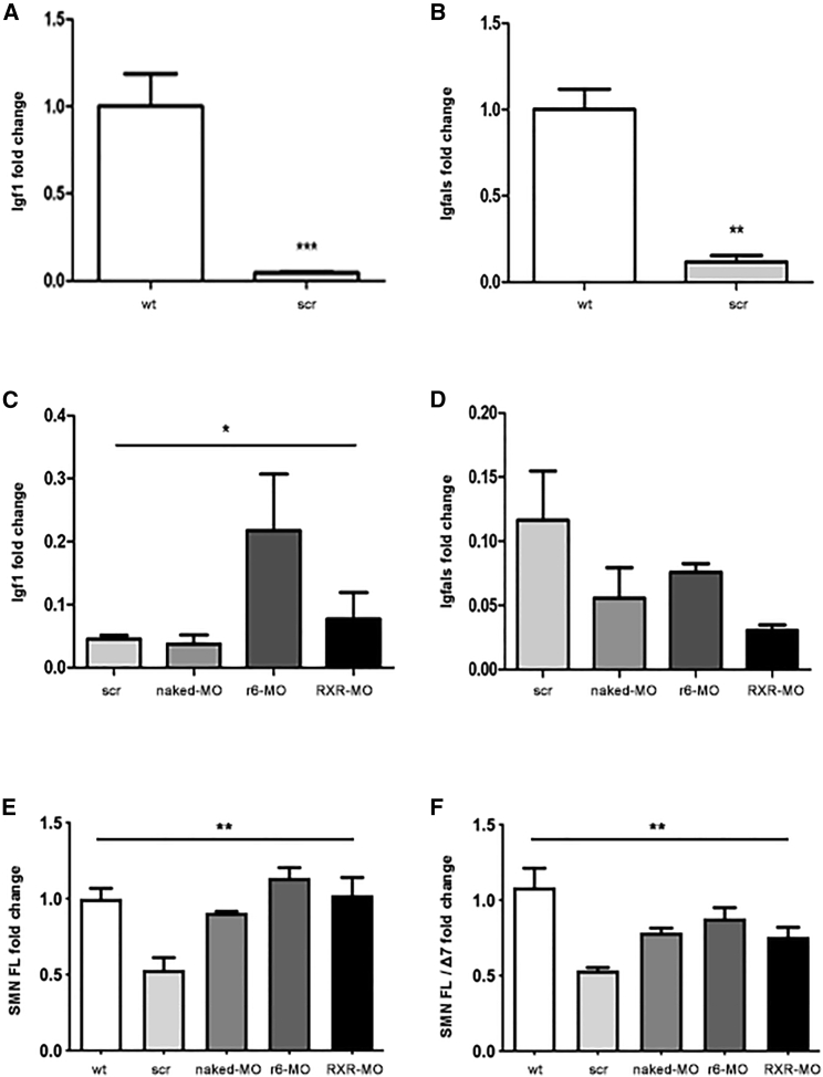 Figure 5