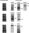 FIG. 5.