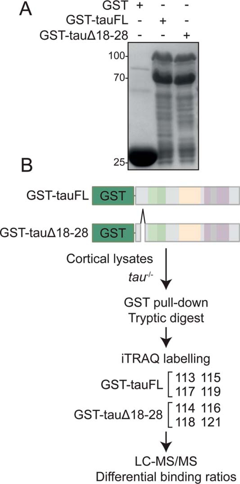 Figure 2.